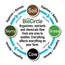 A demonstration of the flow of organisms, nutrients and chemicals known as the BioCircle 