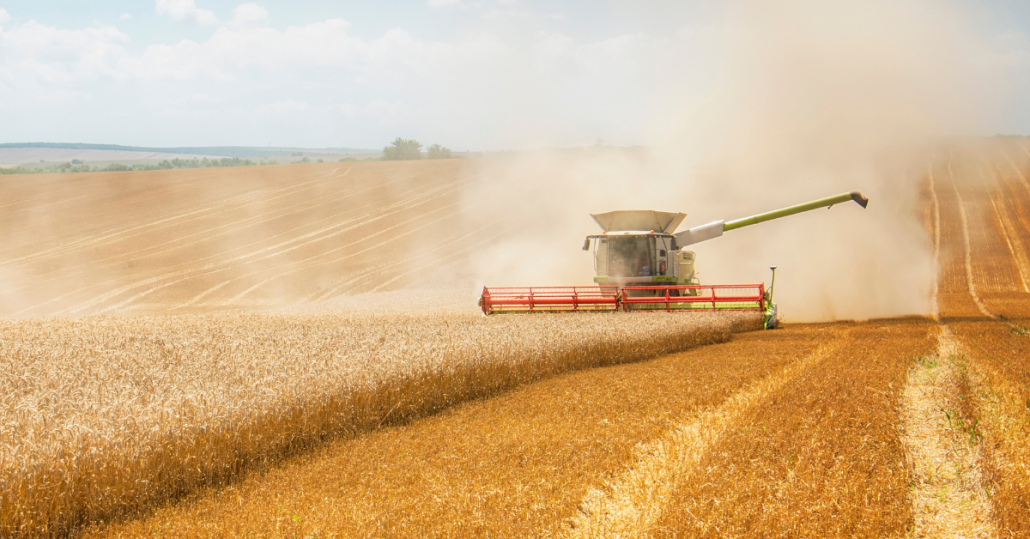 Combine harvester harvesting winter barley